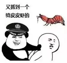 为什么全世界都在骑皮皮虾这到底是个什么梗

