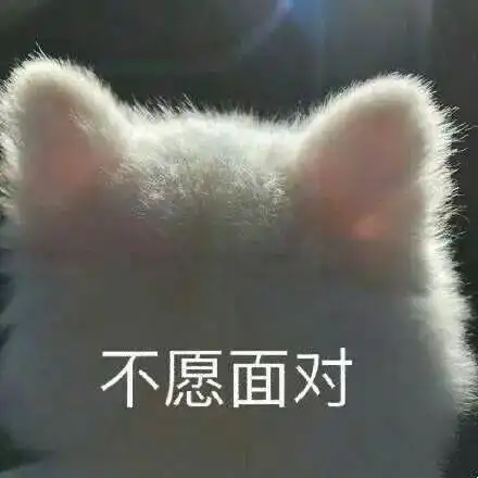沙雕表情爷的眼泪在眼中打转
