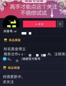 抖音变现方式,抖音如何运营变现思路
