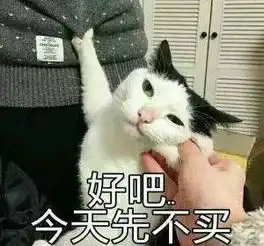 国6已至,清仓甩卖基本结束,下半年啥时候买车最便宜

