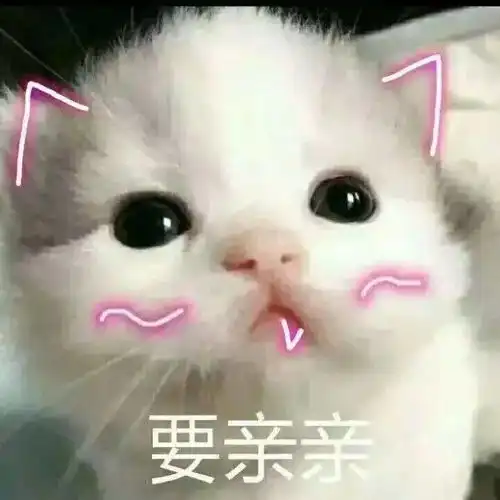 今年中秋,同明月,天涯共此时