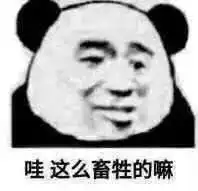 表情包沙雕可爱熊猫头表情包

