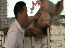 你说我是不是你的小可爱