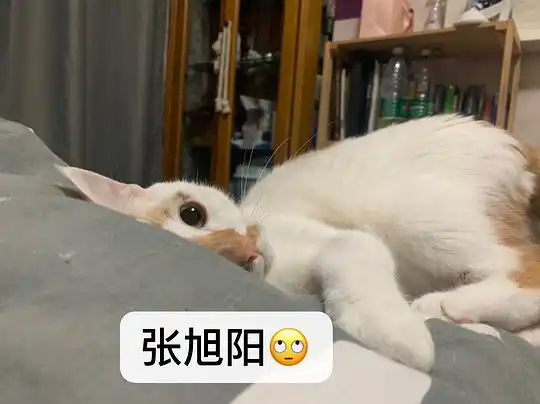 rory的相册我做表情包
