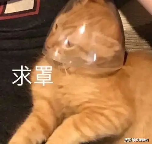 热门表情包图片气扁了,委屈到变形
