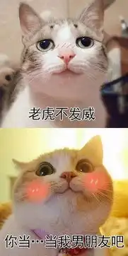 暴走漫画最火爆的原创恶搞漫画制作分享网站,和王尼玛斗图吐槽
