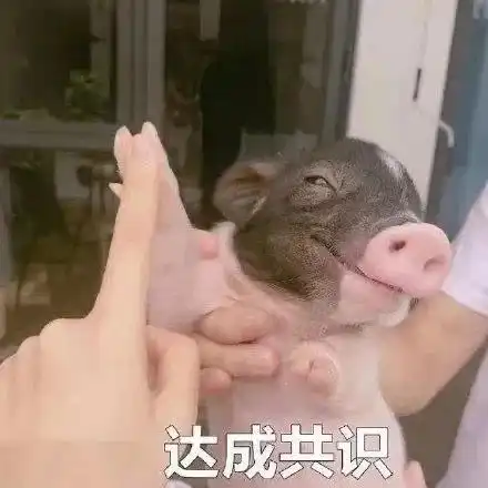 来一波搞笑表情包
