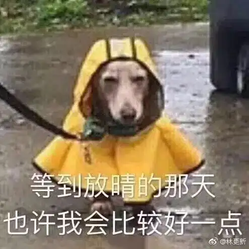 厦门人快开门2个冷空气包裹到货阴雨大风本周轮番开虐
