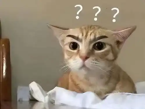 认怂表情包可爱猫努卡