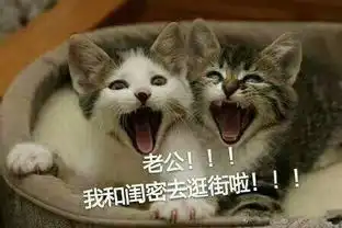老婆向老公认错表情包
