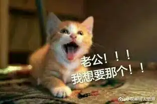 1收藏夹
