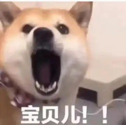 可爱狗狗表情包第二弹
