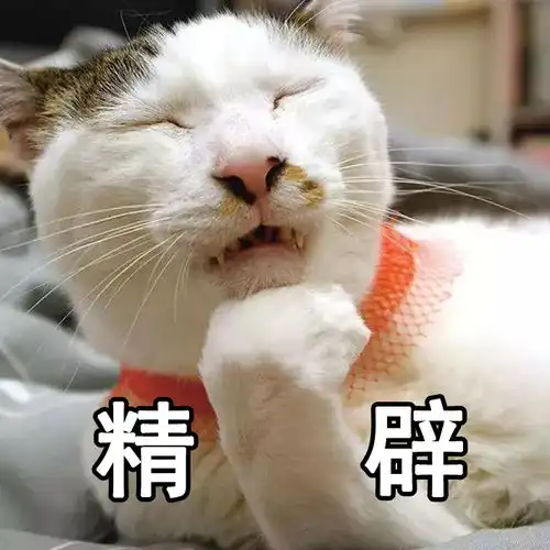 猫横狗怂猫咪在上狗在下,家庭地位谁高谁低一目了然