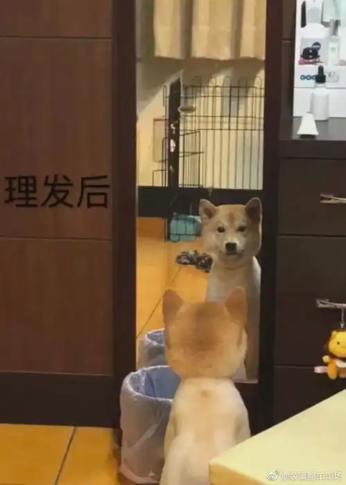 你的内心纯不纯洁,看这张图就够了想歪的自觉去面壁
