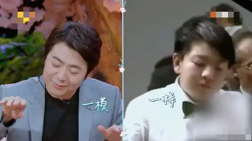 郎朗模仿13岁的自己,幽默自侃岁月只改变了我的size

