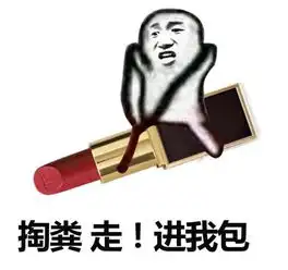 香奈儿我们走表情包
