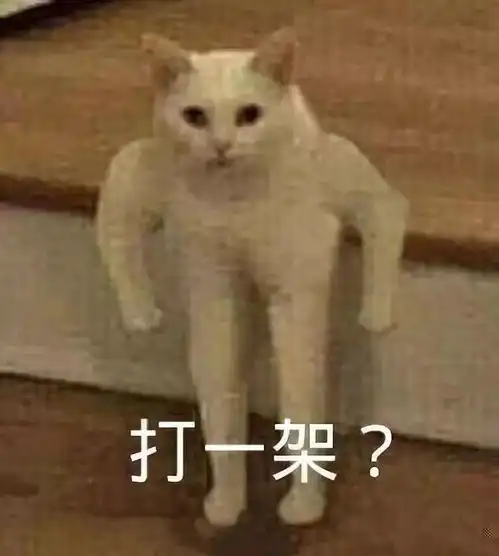 拿走这组的表情包,从此节操是路人表情包
