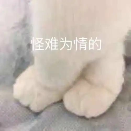 有哪些平凡到极致可爱的沙雕句子