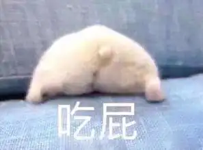毁灭神boss平民打法,无须少林无名
