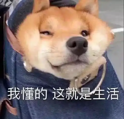 起床难护肤懒这6件好物拯救你的懒癌症

