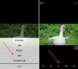 微信最火的鸭鸭表情包大集合,快来带走鸭
