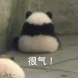 有哪些适合用于斗图的图片
