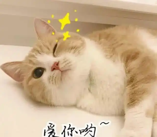 让女孩瞬间红了脸的撩妹表情包,甜到发齁,分分钟让你脱单

