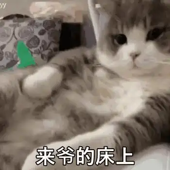 有那些和女朋友聊天用的珍藏表情包
