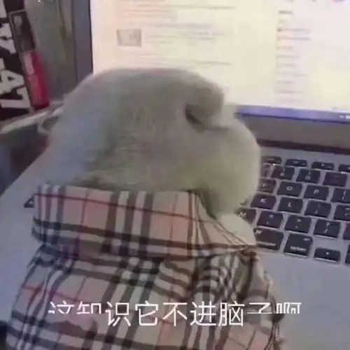 原来老师凶你的时候心里都是这样想的哈哈哈太好笑了
