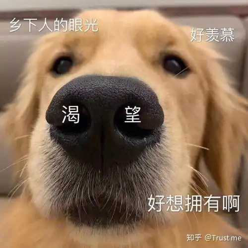 去ktv当服务员需要注意什么,可信吗,怎么保护自己
