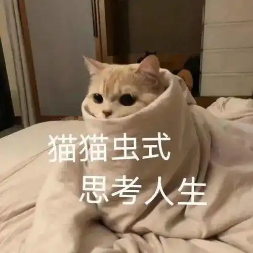 我真不是微亚,你认错人了第275期喵表情
