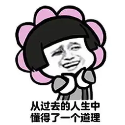 人还在钱没了表情包
