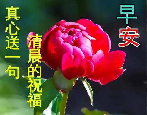 2月24日周五早安问候图片带字,清晨忙把问候送,平安健康伴你行

