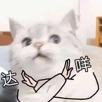 受到惊吓丨第960期喵表情包
