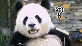 金花哥vlog每一帧都是表情包看金花哥如何给猫和老鼠配音
