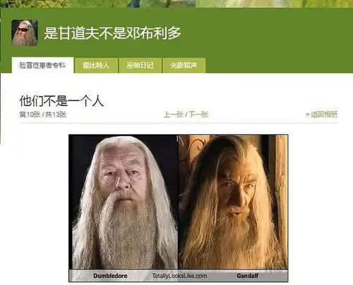 我没演过邓布利多
