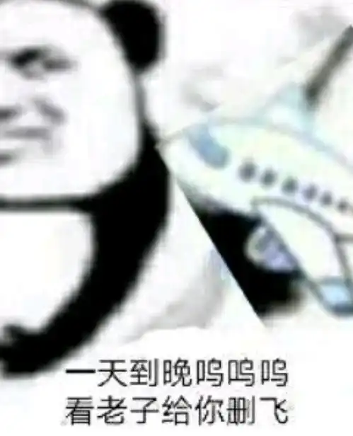 小飞机呼呼呼表情包
