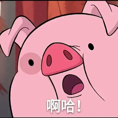 表情包摇摇小猪表情包,叫我干啥
