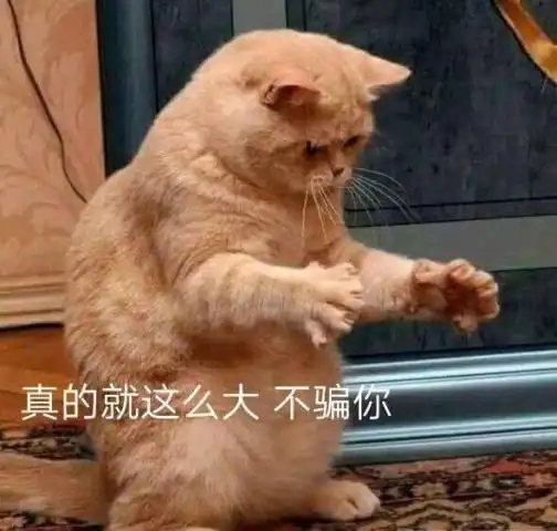 互相攀比表情穿上秋裤,我就是街上美的崽
