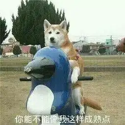 妹子捡到了白吃白住欺负猫的狗还帮它发寻人启事
