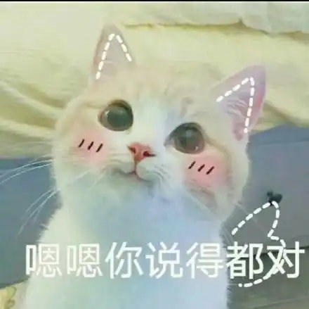 铲屎官,还不要收本盟主的表情
