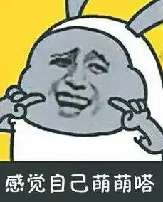 山寨,我们是认真的
