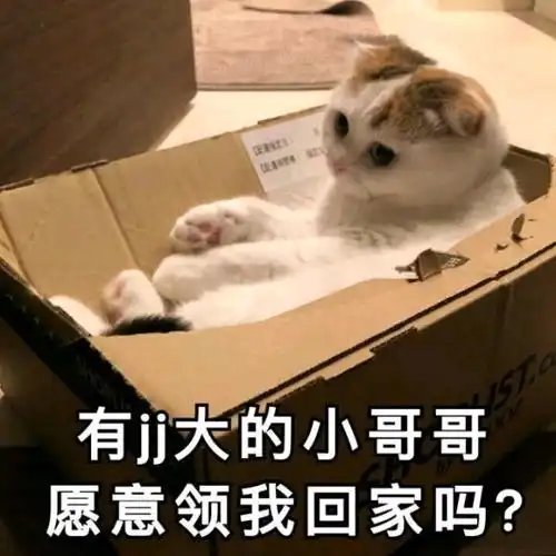 表情搞笑的表情包快读,不读不找你腾讯网qq.com表情
