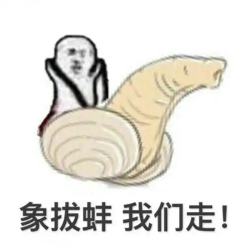 韶华
