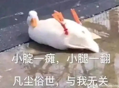menger碎碎念
