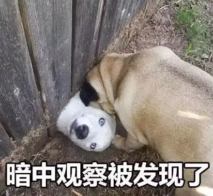 发际线男孩成表情包一夜爆红可是我不想当网红啊哈哈哈哈哈哈
