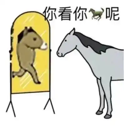 表情包小女孩丨小白猫表情包图片大全0625期
