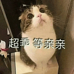 可爱撩人表情包你说,你在外面是不是有别的猫了
