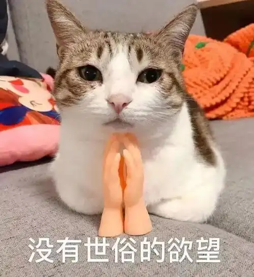 近期热图,搞笑表情包
