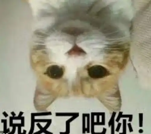 低劣的翻译,摧毁的是媒体的公信力
